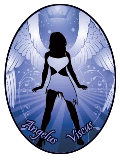 An oval emblem with a dark border: a black silhouette of a woman with large white wings, in front of a blue sunburst with swirls, and "Angelus Viscus" in script along the bottom.