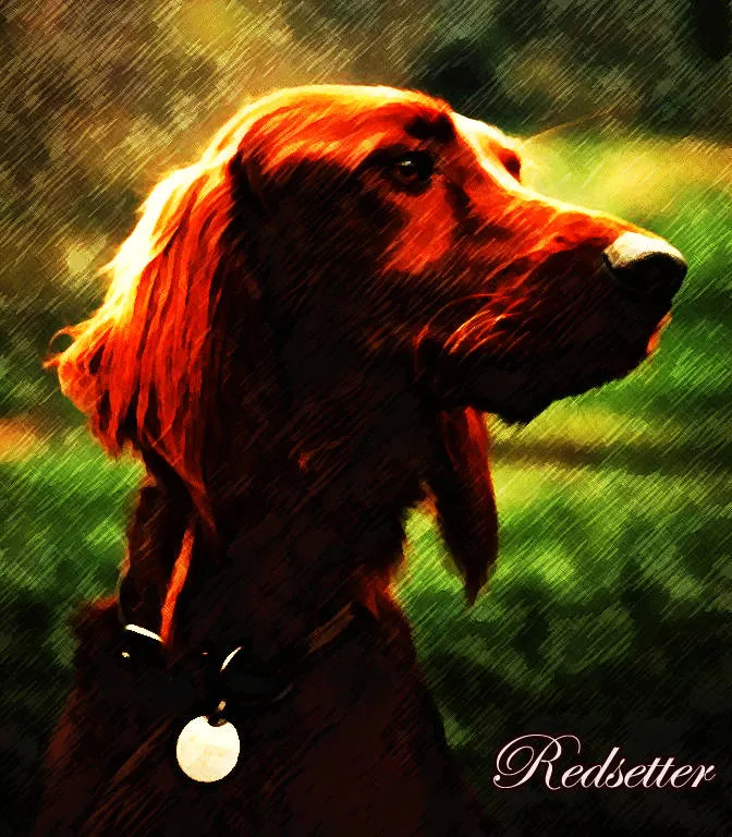 Portrait of a red setter dog in profile against a green background, with a crosshatched texture over the image, a round tag on its collar, and "Redsetter" in script.